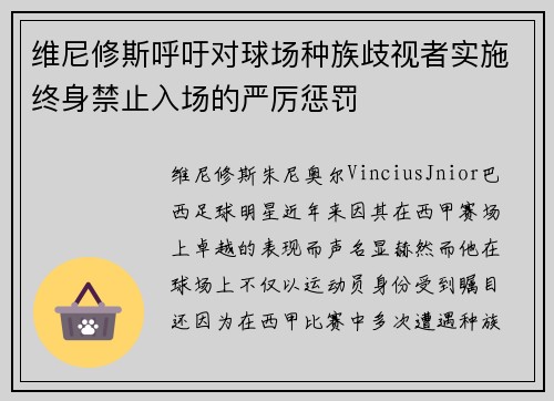 维尼修斯呼吁对球场种族歧视者实施终身禁止入场的严厉惩罚