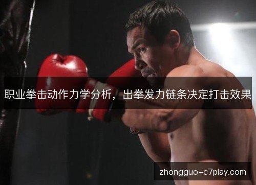 职业拳击动作力学分析,出拳发力链条决定打击效果 职业拳击动作力学分析,出拳发力链条决定打击效果